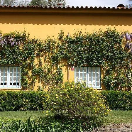 Quinta Tamengas Holiday home *